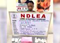 Nigeria: NDLEA Arrests Widow for Trafficking Cocaine with Fake Pregnancy
