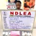 Nigeria: NDLEA Arrests Widow for Trafficking Cocaine with Fake Pregnancy