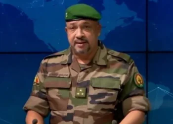 Mali Foils Alleged Coup Plot, Arrests French National and Army Generals