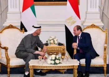 Egyptian, Emirati Presidents Meet in Northern Egypt
