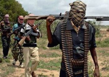 Nigeria: Sokoto Deputy Imam Arrested Over Alleged Collaboration with Bandits
