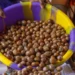 Nigeria Bans Export of Raw Shea Nuts to Boost Local Industry