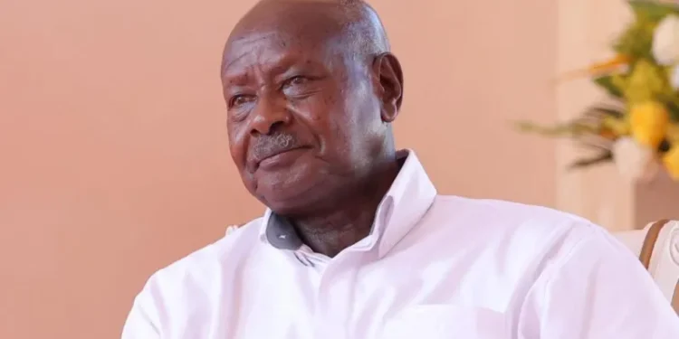 Ugandan Student Sentenced to Two Months in Prison for Anti-Museveni TikTok Video