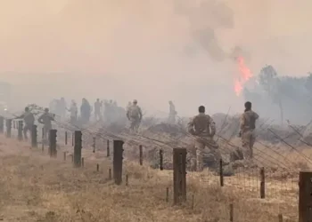 UK Agrees to Pay £2.9 Million Compensation to Kenyans Affected by Military Fire