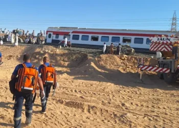 Train Derailment in Egypt Claims Three Lives, Over 100 Injured