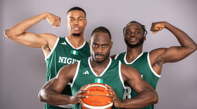 NIGERIA: NSC Backs D’Tigers For AfroBasket Glory in Angola