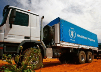 Sudanese Army Denies Air Strike on WFP Convoy in Darfur