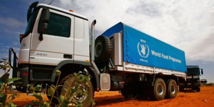 Sudanese Army Denies Air Strike on WFP Convoy in Darfur