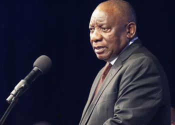 South Africa Prepares For Historic G20 Summit in Johannesburg
