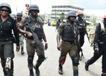 Nigeria: Gunmen Attack IGP’s Police Squad in Imo, Kill One Officer