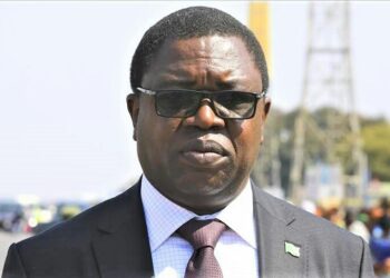 Zambia Court Sentences Ex-Foreign Minister to Hard Labor for Corruption