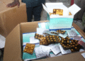 Nigeria: ₦1.2 Billion Fake Malaria Drugs Seized in Lagos