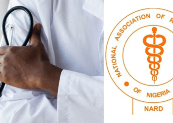 Nigeria’s Resident Doctors Suspend Warning Strike Amid Government Talks