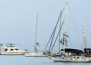 Tunisia Denies Drone Attack on Gaza-Bound Flotilla Carrying Greta Thunberg