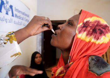 Sudan’s Dengue Fever Outbreak Worsens Amid Ongoing Conflict and Infrastructure Damage