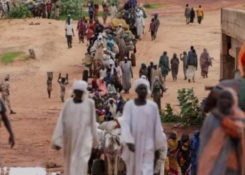 Hundreds Killed in Sudan Landslide, UN Official Says