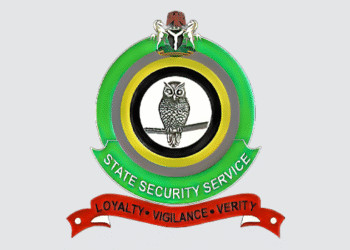 NIGERIA: DSS Drags Sowore to Court Over Posts About President Tinubu