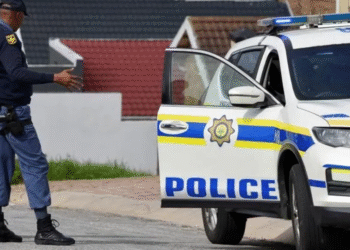 South African Hospital Cleaner Arrested With Bag of Human Placentas