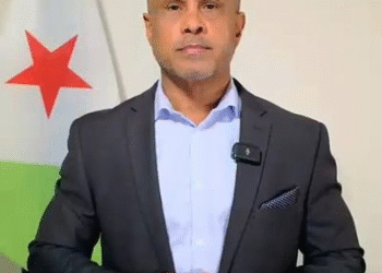 Djibouti Presidential Spokesman Resigns, Citing Democratic Regression