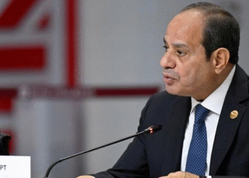 Egypt President Grants Presidential Pardon to Activist Alaa Abdel Fattah