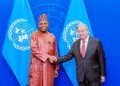 Shettima Meets UN Chief, Pushes Nigeria’s Bid for Permanent UNSC Seat
