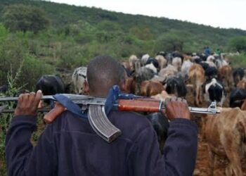 Nigeria: Suspected Fulani Herdsmen Invade Enugu Community, Kill Farmer
