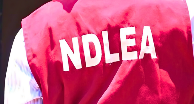 NDLEA Intercepts Drugs Concealed in Frozen Snails, Bulbs