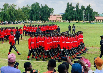 Nigeria: NEC Approves Tinubu’s Plan to Renovate Security Agencies’ Training Institutions