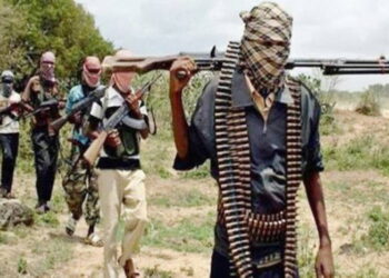 Nigeria: Bandits Abduct Two Brothers in Kwara State Amid Rising Insecurity