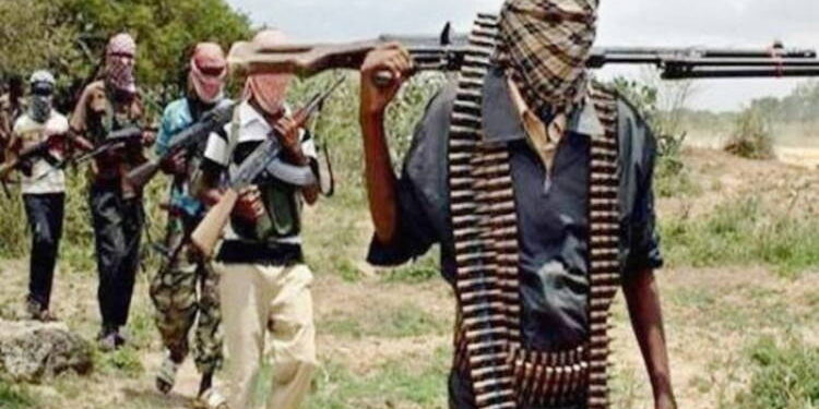 Nigeria: Bandits Abduct Two Brothers in Kwara State Amid Rising Insecurity
