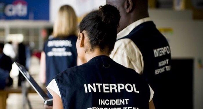 Interpol Arrests 11 High-Level Terrorist Suspects in Nigeria