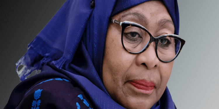 Tanzania Government Downplays Violent Protests, Promises Return to Order Amid Election Unrest