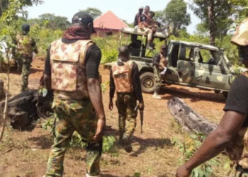 Nigerian Troops Arrest ISWAP Logistics Courier in Borno