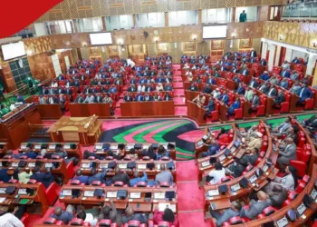 Kenyan MPs Probe Sale of Portland Cement Shares to Tanzanian Tycoon