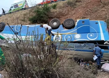 42 Die as Bus Crashes on South Africa Mountain Pass