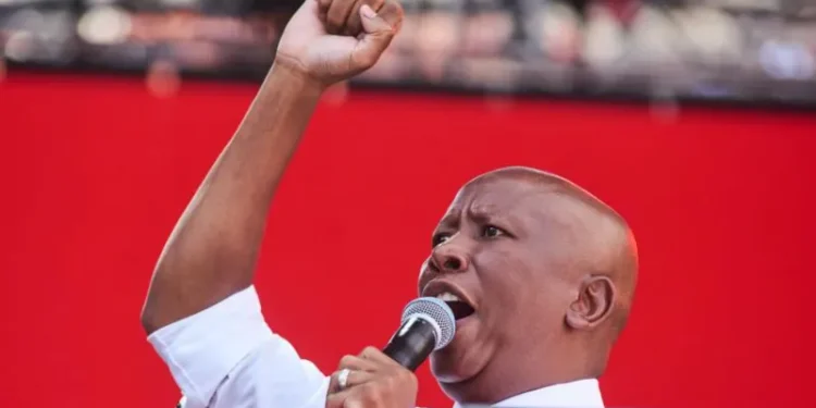 South African Opposition Leader Julius Malema Convicted for Firing Gun at Rally