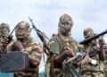 Nigeria: Four Soldiers Killed in Fresh Terrorist Attack in Borno