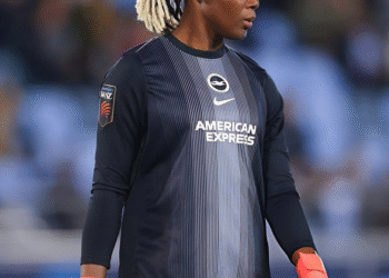 NIGERIA: Chiamaka Nnadozie Nominated For PFA Player of the Month