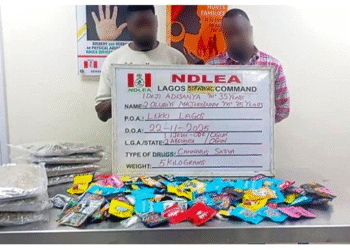 Nigeria: NDLEA Uncovers Drugs Disguised as Christmas Treats, Arrests Suspects