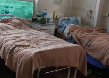 Rift Valley Fever Outbreak Claims 42 Lives in Mauritania and Senegal