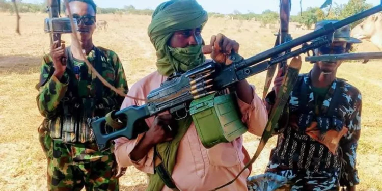 Nigeria: Bandits Attack Kogi School, Local Vigilantes Rescue Students, One Vigilante Killed