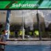 Safaricom’s Half-Year Profit Soars 55% as Ethiopia Loss Narrows
