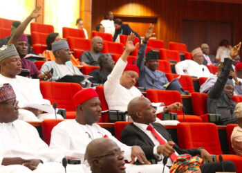 Nigerian Senate Passes Armed Forces Bill to Ban Child Soldiers
