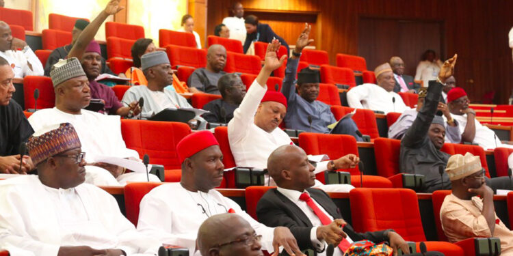 Nigerian Senate Passes Armed Forces Bill to Ban Child Soldiers