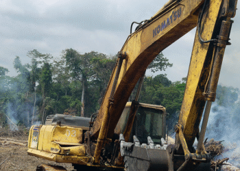 DR Congo Suspends Chinese-Owned Mine Over Environmental Damage