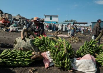 World Food Programme May Pause Food Aid in DR Congo Due to Record Low Funding