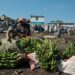 World Food Programme May Pause Food Aid in DR Congo Due to Record Low Funding