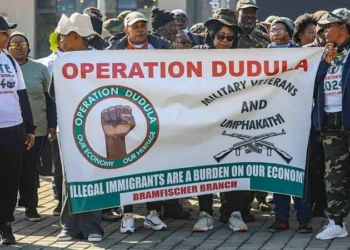 South African Court Orders Anti-Migrant Group to Stop Blocking Foreigners from Healthcare and Schools