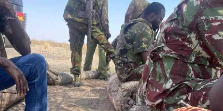 Renewed Clashes on Kenya-Ethiopia Border Leaves Five Injured