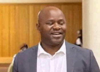 Eswatini Frees Former Opposition Lawmaker After Four Years in Prison